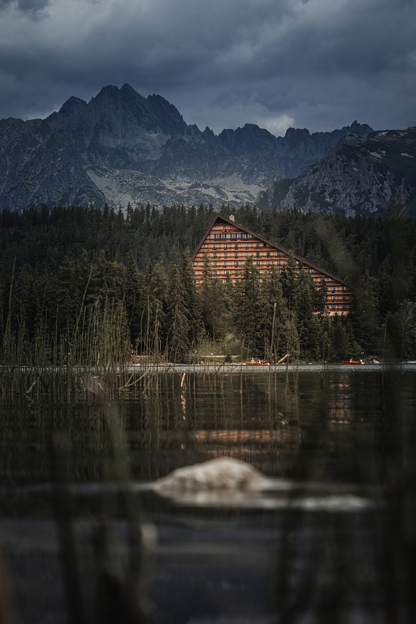 Příroda fotografie